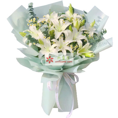 自贡6支白色多头百合，温馨的祝福