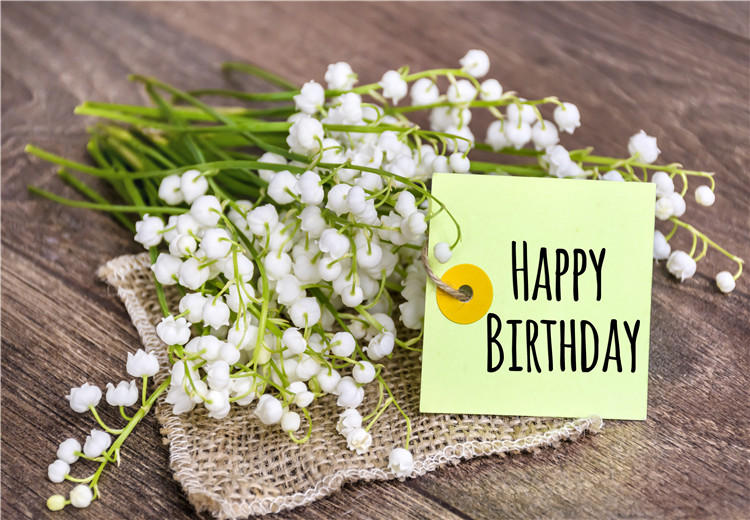 自贡好朋友过生日，生日祝福语怎么说？